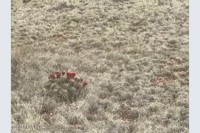 Lot 382Ne Gable Road, Seligman, AZ 86337 - Photo 7