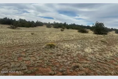 Lot 382Ne Gable Road, Seligman, AZ 86337 - Photo 5