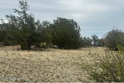 Lot 382Sw Gable Road, Seligman, AZ 86337 - Photo 9