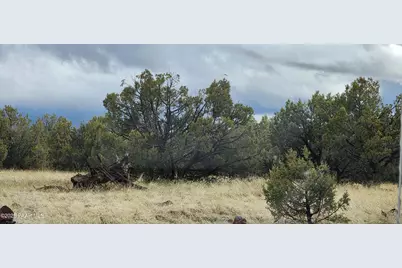 2339 N Phillip Lane, Williams, AZ 86046 - Photo 1