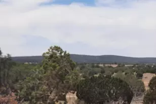 61333 N Rough Rock Rd, Seligman, AZ 86337 - Photo 25