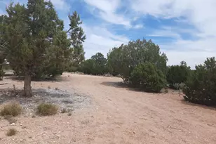 61333 N Rough Rock Rd, Seligman, AZ 86337 - Photo 27