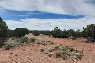 61333 N Rough Rock Rd, Seligman, AZ 86337 - Photo 29