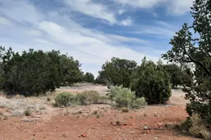 61333 N Rough Rock Rd, Seligman, AZ 86337 - Photo 33