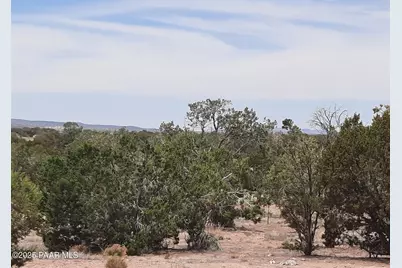 61333 N Rough Rock Rd, Seligman, AZ 86337 - Photo 23