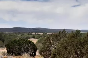 61333 N Rough Rock Rd, Seligman, AZ 86337 - Photo 21