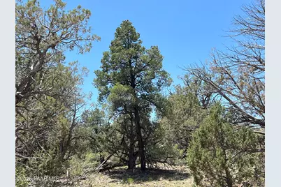 61 Colt Ct Se4 Road, Ash Fork, AZ 86320 - Photo 1