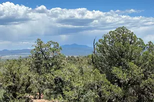 61 Colt Ct Ne4 Rd, Ash Fork, AZ 86320 - Photo 1