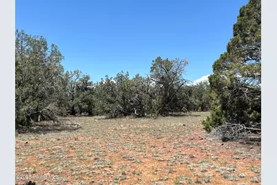 61 Norma Nw4 Road, Ash Fork, AZ 86320 - Photo 1