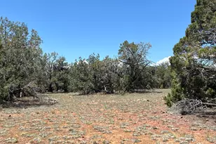 61 Norma Nw4 Rd, Ash Fork, AZ 86320 - Photo 1