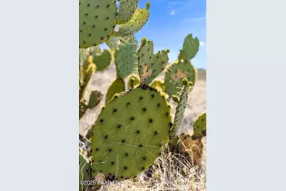 12220 S Caballo, Mayer, AZ 86333 - Photo 17