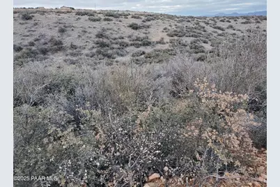 9790 E Antrim Road, Dewey-Humboldt, AZ 86327 - Photo 3