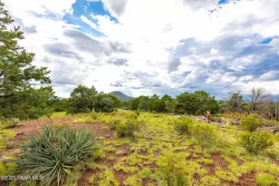 2667 N Overlook Dr, Williams, AZ 86046 - Photo 77