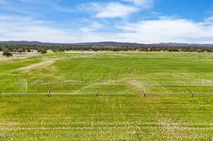 10825 W Strickland Wash Rd, Prescott, AZ 86305 - Photo 19