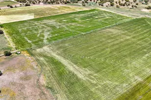 10825 W Strickland Wash Rd, Prescott, AZ 86305 - Photo 29