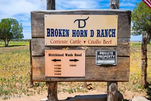 10825 W Strickland Wash Rd, Prescott, AZ 86305 - Photo 41