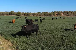 10825 W Strickland Wash Rd, Prescott, AZ 86305 - Photo 45