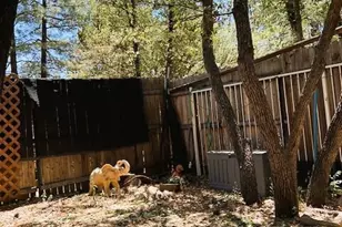 1696 W Linger Ln, Prescott, AZ 86303 - Photo 9