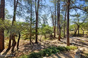 1167 Eagles Nest, Prescott, AZ 86303 - Photo 49