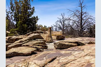 0000 S Monica Mine, Peeples Valley, AZ 86332 - Photo 5