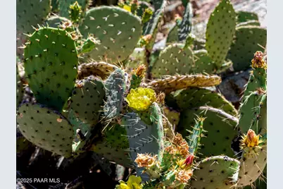 0000 S Monica Mine, Peeples Valley, AZ 86332 - Photo 17