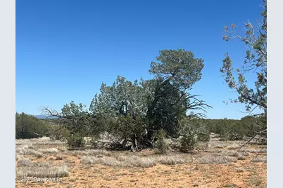10 S2 Off Of Looking Glass, Ash Fork, AZ 86320 - Photo 5