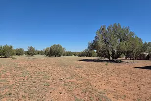 42650 N Wayne Rd, Ash Fork, AZ 86320 - Photo 3