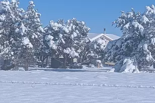 42650 N Wayne Rd, Ash Fork, AZ 86320 - Photo 17