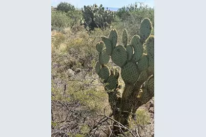 15450 E Upper Ridge Lane, Mayer, AZ 86333 - Photo 5