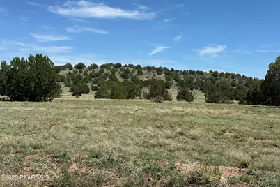 124 Dry Gulch, Seligman, AZ 86337 - Photo 11