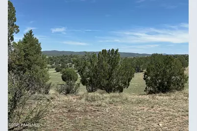 124 Dry Gulch, Seligman, AZ 86337 - Photo 5