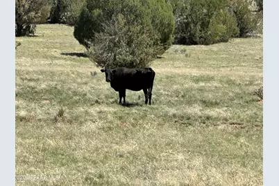 124 Dry Gulch, Seligman, AZ 86337 - Photo 13