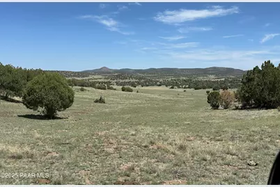 124 Dry Gulch, Seligman, AZ 86337 - Photo 3