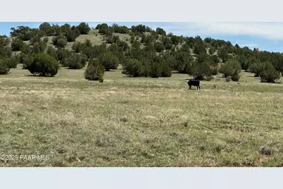 124 Dry Gulch, Seligman, AZ 86337 - Photo 15