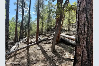 5980A Old Walker Road, Prescott, AZ 86303 - Photo 5