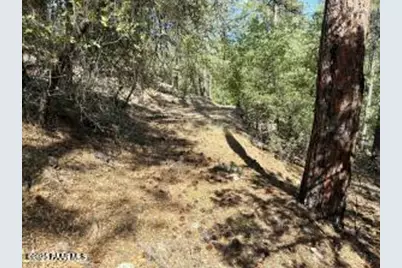 5980A Old Walker Road, Prescott, AZ 86303 - Photo 9