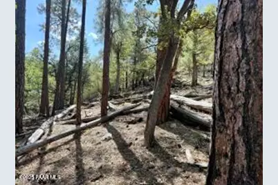 5980A Old Walker Road, Prescott, AZ 86303 - Photo 11