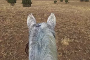 2510 N Chippewa Rd, Chino Valley, AZ 86323 - Photo 45