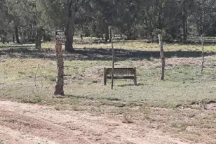 36999 W Avenida Del Destino, Seligman, AZ 86337 - Photo 5