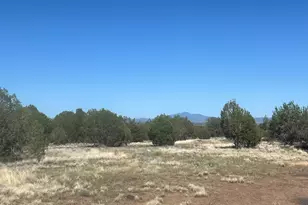 9188 W Gleed Station Rd, Ash Fork, AZ 86320 - Photo 19