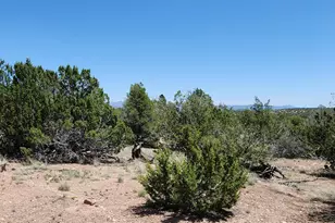 Lot 13 Ranch and Cattle, Ash Fork, AZ 86320 - Photo 19