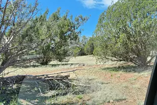Lot 13 Ranch and Cattle, Ash Fork, AZ 86320 - Photo 27