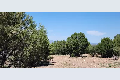 Lot 13 Ranch and Cattle, Ash Fork, AZ 86320 - Photo 13