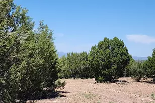 Lot 13 Ranch and Cattle, Ash Fork, AZ 86320 - Photo 13