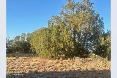 349Nw Rocky Top Road, Seligman, AZ 86337 - Photo 9