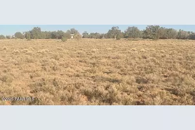 349Nw Rocky Top Road, Seligman, AZ 86337 - Photo 3