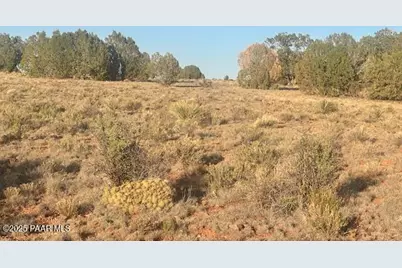 349Nw Rocky Top Road, Seligman, AZ 86337 - Photo 7