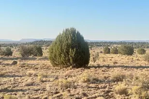 349Ne Rocky Top Rd, Seligman, AZ 86337 - Photo 1