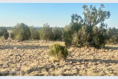 349Ne Rocky Top Road, Seligman, AZ 86337 - Photo 3