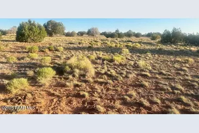 349Ne Rocky Top Road, Seligman, AZ 86337 - Photo 5